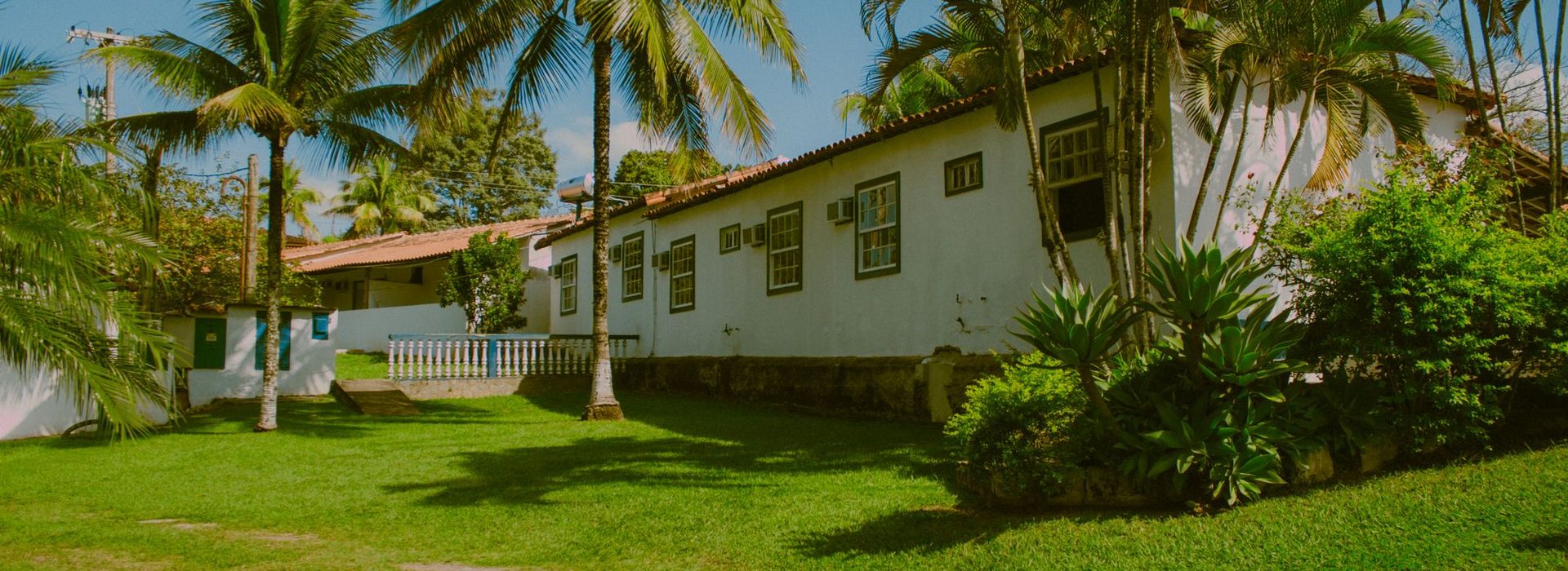 Florida home with palm trees in the Tampa Bay area